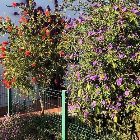 Quinta Amendoeiras Bed & Breakfast Nora (Barlavento)