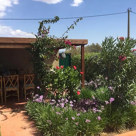 Bed & Breakfast Quinta Amendoeiras Nora (Barlavento)