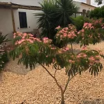 Quinta Amendoeiras Oda ve Kahvaltı
