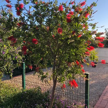 فندق مبيت وإفطار Quinta Amendoeiras *