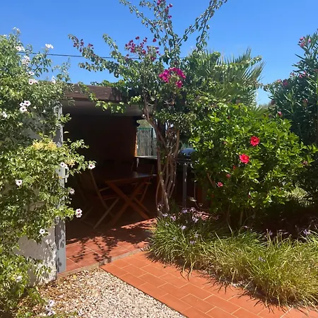 Quinta Amendoeiras Bed & Breakfast