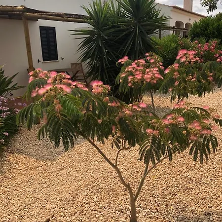 Quinta Amendoeiras Panzió